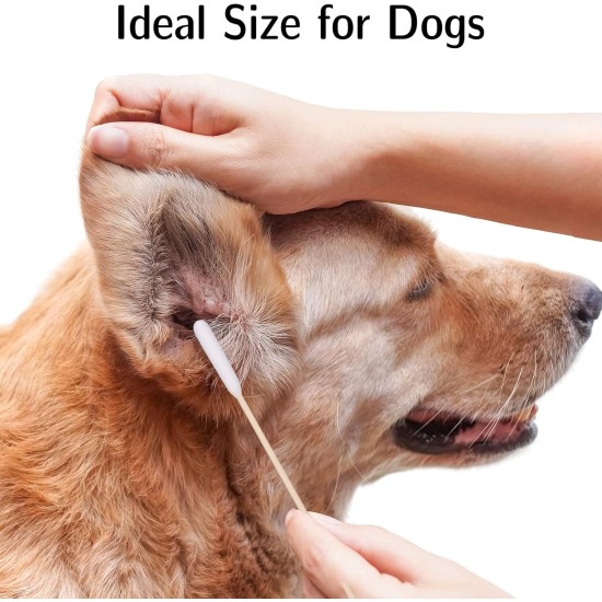 Pack of 100 Ear Cleaning for Dogs Wood Pets Ear Cleaner Ear Cleaning Sticks Pet Dogs Cotton Buds for Pets, Dogs, Cats, 15 cm Pack of 100 Ear Cleaning for Dogs Wood Pets Ear Cleaner Ear Cleaning Sticks Pet Dogs Cotton Buds for Pets, Dogs, Cats, 15 cm