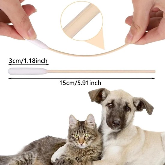Pack of 100 cotton buds for dogs, cotton buds, ear cleaner, 15 cm ear cleaner for pets, cotton buds long, dog ear cleaning sticks, for cleaning the ears of pets Pack of 100 cotton buds for dogs, cotton buds, ear cleaner, 15 cm ear cleaner for pets, cotton buds long, dog ear cleaning sticks, for cleaning the ears of pets