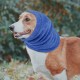 Pack of 2 Dog Ear Protection, No Flap Ear Wraps for Dogs, Noise Cancelling Earmuffs, Head and Ear Protection, Ear Cover Dog for Dogs, Cat Neck and Ear Warmers (Grey & Blue, S) Pack of 2 Dog Ear Protection, No Flap Ear Wraps for Dogs, Noise Cancelling Earmuffs, Head and Ear Protection, Ear Cover Dog for Dogs, Cat Neck and Ear Warmers (Grey & Blue, S)