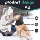 Pack of 2 Dog Snood, Ear Muffs for Dogs, Ear Protection Dog, Dog Ear Warmer, Dog Neck and Ear Warmer, Pet Ear Flap Head Wrap, Head Cover for Dogs, Ear Protection Dog Wind (Grey) Pack of 2 Dog Snood, Ear Muffs for Dogs, Ear Protection Dog, Dog Ear Warmer, Dog Neck and Ear Warmer, Pet Ear Flap Head Wrap, Head Cover for Dogs, Ear Protection Dog Wind (Grey)