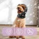 Pack of 2 Hjyokuso Ear Protectors for Dogs, Soothing Earmuffs for Dogs, Ear Protection for Dogs, Dog Snood Dog Earmuffs for Dogs, Hearing Protection, Dog Hoodie for Dogs, Neck and Ear Warmers Pack of 2 Hjyokuso Ear Protectors for Dogs, Soothing Earmuffs for Dogs, Ear Protection for Dogs, Dog Snood Dog Earmuffs for Dogs, Hearing Protection, Dog Hoodie for Dogs, Neck and Ear Warmers