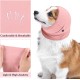 Pack of 2 Quiet Ears Dog Hearing Protection Noise Protection for Dogs Ear Protection Dog Wind Dog Head Wrap Neck Warmer Ear Protectors for Dog Ear Protection (M) Pack of 2 Quiet Ears Dog Hearing Protection Noise Protection for Dogs Ear Protection Dog Wind Dog Head Wrap Neck Warmer Ear Protectors for Dog Ear Protection (M)
