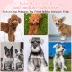 Pack of 2 Quiet Ears Dog Hearing Protection Noise Protection for Dogs Ear Protection Dog Wind Dog Head Wrap Neck Warmer Ear Protectors for Dog Ear Protection (M) Pack of 2 Quiet Ears Dog Hearing Protection Noise Protection for Dogs Ear Protection Dog Wind Dog Head Wrap Neck Warmer Ear Protectors for Dog Ear Protection (M)