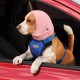Pack of 2 Quiet Ears Dog Hearing Protection Noise Protection for Dogs Ear Protection Dog Wind Dog Head Wrap Neck Warmer Ear Protectors for Dog Ear Protection (M) Pack of 2 Quiet Ears Dog Hearing Protection Noise Protection for Dogs Ear Protection Dog Wind Dog Head Wrap Neck Warmer Ear Protectors for Dog Ear Protection (M)