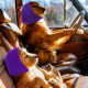 Pack of 2 Soothing Earmuffs for Dogs, Dog Tube Scarf for Neck and Ear Warmers, Dog Scarf for Dogs, Noise Protection, Pet Ear Warmers for Wearing When Bathing, Grooming, S, (Purple) Pack of 2 Soothing Earmuffs for Dogs, Dog Tube Scarf for Neck and Ear Warmers, Dog Scarf for Dogs, Noise Protection, Pet Ear Warmers for Wearing When Bathing, Grooming, S, (Purple)