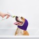 Pack of 2 Soothing Earmuffs for Dogs, Dog Tube Scarf for Neck and Ear Warmers, Dog Scarf for Dogs, Noise Protection, Pet Ear Warmers for Wearing When Bathing, Grooming, S, (Purple) Pack of 2 Soothing Earmuffs for Dogs, Dog Tube Scarf for Neck and Ear Warmers, Dog Scarf for Dogs, Noise Protection, Pet Ear Warmers for Wearing When Bathing, Grooming, S, (Purple)