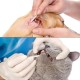 Pack of 200 Dog Cotton Buds Ear Cleaner for Pets Ear Cleaning for Dogs, 15 cm Ear Cleaner Ear Cleaning Sticks for Pets Dog, Cat (4 Packs) Pack of 200 Dog Cotton Buds Ear Cleaner for Pets Ear Cleaning for Dogs, 15 cm Ear Cleaner Ear Cleaning Sticks for Pets Dog, Cat (4 Packs)