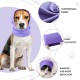 Pack of 3 Dog Hoods, Soft and Warm Hoods, Elastic Hoods, Noise Reduction Caps for Pets, Pet Supplies Pack of 3 Dog Hoods, Soft and Warm Hoods, Elastic Hoods, Noise Reduction Caps for Pets, Pet Supplies