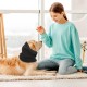 Pack of 3 Dog Hoods, Soft and Warm Hoods, Elastic Hoods, Noise Reduction Caps for Pets, Pet Supplies Pack of 3 Dog Hoods, Soft and Warm Hoods, Elastic Hoods, Noise Reduction Caps for Pets, Pet Supplies