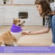 Pack of 3 Dog Hoods, Soft and Warm Hoods, Elastic Hoods, Noise Reduction Caps for Pets, Pet Supplies Pack of 3 Dog Hoods, Soft and Warm Hoods, Elastic Hoods, Noise Reduction Caps for Pets, Pet Supplies