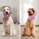 Pack of 3 Earmuffs for Dogs, Soft Cotton Earmuffs for Dogs for Noise Reduction, Relaxation and Warmth in Winter (Medium Size) Pack of 3 Earmuffs for Dogs, Soft Cotton Earmuffs for Dogs for Noise Reduction, Relaxation and Warmth in Winter (Medium Size)