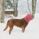 Pack of 4 Ear Protectors for Dogs, Snoods for Dogs, Cotton Material, Without Flap, Earmuffs, Soundproof Earmuffs, Dog Neck and Ear Warmers, Dog Ear Protection for Noise Reduction Pack of 4 Ear Protectors for Dogs, Snoods for Dogs, Cotton Material, Without Flap, Earmuffs, Soundproof Earmuffs, Dog Neck and Ear Warmers, Dog Ear Protection for Noise Reduction