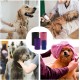 Pack of 4 Ear Protectors for Dogs, Snoods for Dogs, Cotton Material, Without Flap, Earmuffs, Soundproof Earmuffs, Dog Neck and Ear Warmers, Dog Ear Protection for Noise Reduction Pack of 4 Ear Protectors for Dogs, Snoods for Dogs, Cotton Material, Without Flap, Earmuffs, Soundproof Earmuffs, Dog Neck and Ear Warmers, Dog Ear Protection for Noise Reduction
