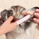 Pack of 50 Wet Wipes Dog, Dog Wipes, Ear Cleaner for Dogs, Dog Ear Cleaner for Ear Hygiene, Gentle Ear Cleaner for Care and Cleaning Pack of 50 Wet Wipes Dog, Dog Wipes, Ear Cleaner for Dogs, Dog Ear Cleaner for Ear Hygiene, Gentle Ear Cleaner for Care and Cleaning