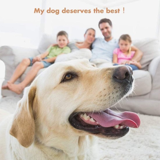 Pet Ear Cleaner, Ear Cleaning for Dogs, Pets Ear Cleaner, Ear Cleaning Swabs, Dog Cotton Buds, Cotton Buds, Eye Cleaning, Ear Cleaner for Pets, Dogs, Cats, 50 Pieces Pet Ear Cleaner, Ear Cleaning for Dogs, Pets Ear Cleaner, Ear Cleaning Swabs, Dog Cotton Buds, Cotton Buds, Eye Cleaning, Ear Cleaner for Pets, Dogs, Cats, 50 Pieces