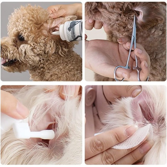 Pet Ear Hair Tweezers, Pet Hair Removal Pliers, Stainless Steel Pet Pliers, Veterinary Pliers, Hemostatic Tweezers for Pets, for Cats, Dogs, Rabbits Pet Ear Hair Tweezers, Pet Hair Removal Pliers, Stainless Steel Pet Pliers, Veterinary Pliers, Hemostatic Tweezers for Pets, for Cats, Dogs, Rabbits