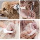 Pet Ear Hair Tweezers, Pet Hair Removal Pliers, Stainless Steel Pet Pliers, Veterinary Pliers, Hemostatic Tweezers for Pets, for Cats, Dogs, Rabbits Pet Ear Hair Tweezers, Pet Hair Removal Pliers, Stainless Steel Pet Pliers, Veterinary Pliers, Hemostatic Tweezers for Pets, for Cats, Dogs, Rabbits
