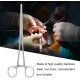 Pet Forceps Pet Forceps