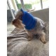 Pet Hoodz for Dogs, Anxiety, Grooming, Earmuffs, Calming Hood, Ear Compression, Pet Hoodie, Dog Ear Wrap, Black, XL Pet Hoodz for Dogs, Anxiety, Grooming, Earmuffs, Calming Hood, Ear Compression, Pet Hoodie, Dog Ear Wrap, Black, XL