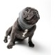 Pet Hoodz for Dogs, Anxiety, Grooming, Earmuffs, Calming Hood, Ear Compression, Pet Hoodie, Dog Ear Wrap, Black, XL Pet Hoodz for Dogs, Anxiety, Grooming, Earmuffs, Calming Hood, Ear Compression, Pet Hoodie, Dog Ear Wrap, Black, XL