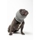Pet Hoodz for Dogs, Anxiety, Grooming, Earmuffs, Calming Hood, Ear Compression, Pet Hoodie, Dog Ear Wrap, Black, XL Pet Hoodz for Dogs, Anxiety, Grooming, Earmuffs, Calming Hood, Ear Compression, Pet Hoodie, Dog Ear Wrap, Black, XL