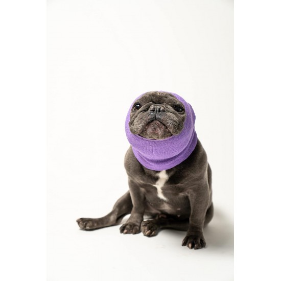 Pet Hoodz for Dogs, Anxiety, Grooming, Earmuffs, Ear Protection, Soothing, Ear Compression, Pet Hoodie, Dog Ear Wrap (Small, Black) Pet Hoodz for Dogs, Anxiety, Grooming, Earmuffs, Ear Protection, Soothing, Ear Compression, Pet Hoodie, Dog Ear Wrap (Small, Black)