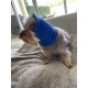 Pet Hoodz for Dogs, Anxiety, Grooming, Earmuffs, Ear Protection, Soothing, Ear Compression, Pet Hoodie, Dog Ear Wrap (Small, Black) Pet Hoodz for Dogs, Anxiety, Grooming, Earmuffs, Ear Protection, Soothing, Ear Compression, Pet Hoodie, Dog Ear Wrap (Small, Black)