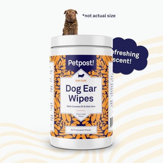 Petpost Ear Cleaner for Dogs - 60 Ultra Soft Cotton Wipes Soaked in Coconut Oil / Aloe Solution - Care for Ear Mites and Ear Infections Petpost Ear Cleaner for Dogs - 60 Ultra Soft Cotton Wipes Soaked in Coconut Oil / Aloe Solution - Care for Ear Mites and Ear Infections