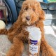 Petpost Ear Cleaner for Dogs - 60 Ultra Soft Cotton Wipes Soaked in Coconut Oil / Aloe Solution - Care for Ear Mites and Ear Infections Petpost Ear Cleaner for Dogs - 60 Ultra Soft Cotton Wipes Soaked in Coconut Oil / Aloe Solution - Care for Ear Mites and Ear Infections