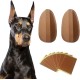 Pssopp Dog Ear Support Patch, Dog Ear Patch Stickers, Puppy Ear Stickers, Fixed Support, Puppy Ear Lifting Tool (#6) Pssopp Dog Ear Support Patch, Dog Ear Patch Stickers, Puppy Ear Stickers, Fixed Support, Puppy Ear Lifting Tool (#6)