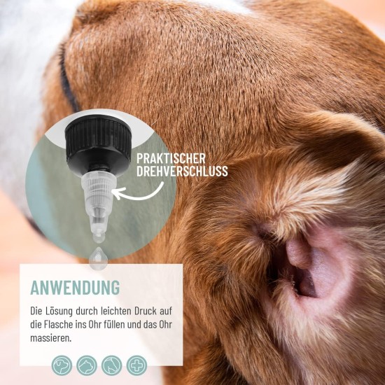 ReaVET Ear Cleaner for Dogs and Cats 250 ml - Ear Cleaner with Colloidal Silver + Natural Chamomile I Agent for Ear Cleaning for Dogs, Cats, Horses ReaVET Ear Cleaner for Dogs and Cats 250 ml - Ear Cleaner with Colloidal Silver + Natural Chamomile I Agent for Ear Cleaning for Dogs, Cats, Horses