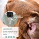 ReaVET Ear Cleaner for Dogs and Cats 250 ml - Ear Cleaner with Colloidal Silver + Natural Chamomile I Agent for Ear Cleaning for Dogs, Cats, Horses ReaVET Ear Cleaner for Dogs and Cats 250 ml - Ear Cleaner with Colloidal Silver + Natural Chamomile I Agent for Ear Cleaning for Dogs, Cats, Horses
