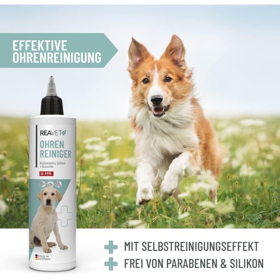 ReaVET Ear Cleaner for Dogs and Cats 250 ml - Ear Cleaner with Colloidal Silver + Natural Chamomile I Agent for Ear Cleaning for Dogs, Cats, Horses ReaVET Ear Cleaner for Dogs and Cats 250 ml - Ear Cleaner with Colloidal Silver + Natural Chamomile I Agent for Ear Cleaning for Dogs, Cats, Horses