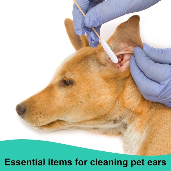 Reccisokz Pack of 100 cotton buds for dogs, cat ear cleaner, ear cleaner for dogs, cotton buds, pets, dogs, cats Reccisokz Pack of 100 cotton buds for dogs, cat ear cleaner, ear cleaner for dogs, cotton buds, pets, dogs, cats