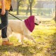 Soothing Earmuffs for Dogs Reduces Noise Hearing Protection Dog Ear Flap Head Wrap Comfortable Anxiety Resistant Winter Wash Head for Dogs for Care Bathing L (Grey)