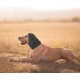 Soothing Earmuffs for Dogs Reduces Noise Hearing Protection Dog Ear Flap Head Wrap Comfortable Anxiety Resistant Winter Wash Head for Dogs for Care Bathing L (Grey)