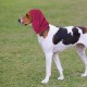 Soothing Earmuffs for Dogs Reduces Noise Hearing Protection Dog Ear Flap Head Wrap Comfortable Anxiety Resistant Winter Wash Head for Dogs for Care Bathing L (Grey)