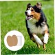 Supvox Dog Ear Stand Up Aid Dog Ear Care Set Dog Ear Support Tool for Standing Ears Support Aid for Puppies and Adults Dogs Ear Standing Aid for Ear Correction Supvox Dog Ear Stand Up Aid Dog Ear Care Set Dog Ear Support Tool for Standing Ears Support Aid for Puppies and Adults Dogs Ear Standing Aid for Ear Correction
