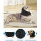 TPZORJX 1 Piece Happy Dog Cat Hoodie Noise Hearing Protection Soothing Earmuffs Ear and Wind Protection Reduce Fear of Fireworks Great After Surgery TPZORJX 1 Piece Happy Dog Cat Hoodie Noise Hearing Protection Soothing Earmuffs Ear and Wind Protection Reduce Fear of Fireworks Great After Surgery