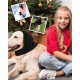 TPZORJX 1 Piece Happy Dog Cat Hoodie Noise Hearing Protection Soothing Earmuffs Ear and Wind Protection Reduce Fear of Fireworks Great After Surgery TPZORJX 1 Piece Happy Dog Cat Hoodie Noise Hearing Protection Soothing Earmuffs Ear and Wind Protection Reduce Fear of Fireworks Great After Surgery