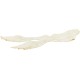 TRIXIE 29392 Ear Care Ear Care Finger Pads Pack of 50