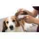 TRIXIE Ear Care Ear Care Finger Pads | Double Pack | 2 x 50 Pieces | Finger Pads with Nourishing Cleaning Lotion | For Ear Cleaning of Dogs, Cats and Other Small Animals TRIXIE Ear Care Ear Care Finger Pads | Double Pack | 2 x 50 Pieces | Finger Pads with Nourishing Cleaning Lotion | For Ear Cleaning of Dogs, Cats and Other Small Animals