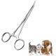 Tweezers for Ear Hair for Pets, Artery Clamp, Dog Scissors, Ear Powder, Hair Removal for Dogs, Stainless Steel Pet Tongs, Hemostatic, Pliers for Removing Pet Hair, Ear Cleaning for Pets Tweezers for Ear Hair for Pets, Artery Clamp, Dog Scissors, Ear Powder, Hair Removal for Dogs, Stainless Steel Pet Tongs, Hemostatic, Pliers for Removing Pet Hair, Ear Cleaning for Pets