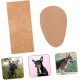 WOONEKY 1 Pair of Ear Plasters for Pets for Dog Ears for Dog Ears Sticker for Ears to Stand Up Adhesive Tape, Puppy Ear Tool, Ear-Fixed Correction Vertical Holder WOONEKY 1 Pair of Ear Plasters for Pets for Dog Ears for Dog Ears Sticker for Ears to Stand Up Adhesive Tape, Puppy Ear Tool, Ear-Fixed Correction Vertical Holder