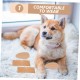 WOONEKY 1 Pair of Ear Plasters for Pets for Dog Ears for Dog Ears Sticker for Ears to Stand Up Tape for Dog Ears Correct Ear to Stand Up for Pets WOONEKY 1 Pair of Ear Plasters for Pets for Dog Ears for Dog Ears Sticker for Ears to Stand Up Tape for Dog Ears Correct Ear to Stand Up for Pets