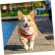 WOONEKY 1 Pair of Ear Plasters for Pets for Dog Ears for Dog Ears Sticker for Ears to Stand Up Tape for Dog Ears Correct Ear to Stand Up for Pets WOONEKY 1 Pair of Ear Plasters for Pets for Dog Ears for Dog Ears Sticker for Ears to Stand Up Tape for Dog Ears Correct Ear to Stand Up for Pets
