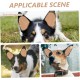 WOONEKY 1 Pair of Ear Plasters for Pets for Dog Ears for Dog Ears Sticker for Ears to Stand Up Tape for Dog Ears Correct Ear to Stand Up for Pets WOONEKY 1 Pair of Ear Plasters for Pets for Dog Ears for Dog Ears Sticker for Ears to Stand Up Tape for Dog Ears Correct Ear to Stand Up for Pets