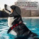 XFSRG Ear Protection Dog Adjustable Velcro Dog Ear Warmers Reduce Noise for Anxiety Relief and Soothing (Grey/S) XFSRG Ear Protection Dog Adjustable Velcro Dog Ear Warmers Reduce Noise for Anxiety Relief and Soothing (Grey/S)
