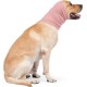 Yaopelky Calming Earmuffs for Dogs - Noise Protection, Anxiety Relief Headband, Noise Cancelling for Fireworks, Thunderstorms, Grooming Aid (Purple, S) Yaopelky Calming Earmuffs for Dogs - Noise Protection, Anxiety Relief Headband, Noise Cancelling for Fireworks, Thunderstorms, Grooming Aid (Purple, S)