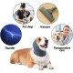 Yaopelky Calming Earmuffs for Dogs - Noise Protection, Anxiety Relief Headband, Noise Cancelling for Fireworks, Thunderstorms, Grooming Aid (Purple, S) Yaopelky Calming Earmuffs for Dogs - Noise Protection, Anxiety Relief Headband, Noise Cancelling for Fireworks, Thunderstorms, Grooming Aid (Purple, S)